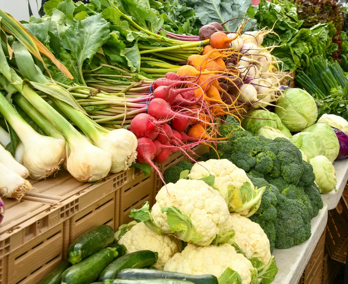 Crates of freshly harvested beetroot, cauliflower and greens